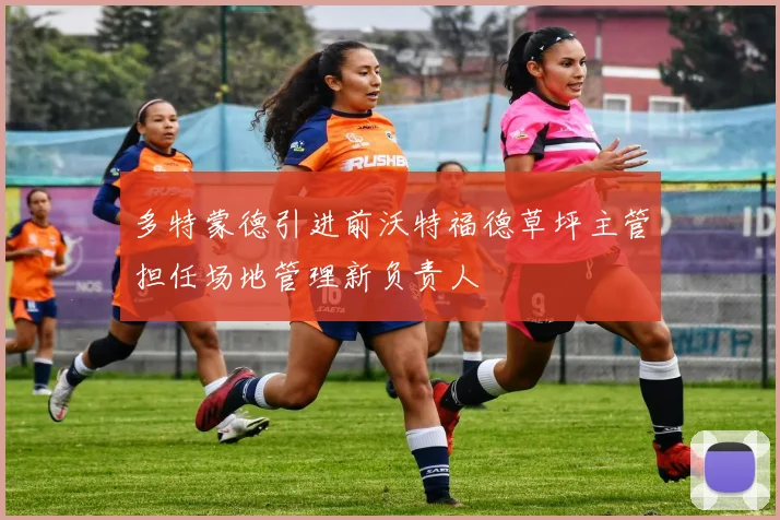多特蒙德引进前沃特福德草坪主管担任场地管理新负责人