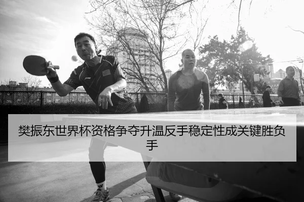 樊振东世界杯资格争夺升温反手稳定性成关键胜负手